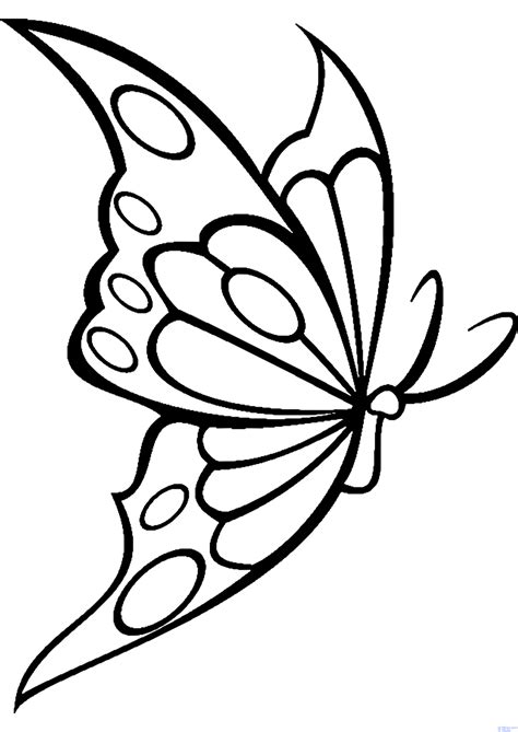 mariposa para dibujar